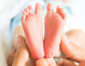 Baby feet for reflexology